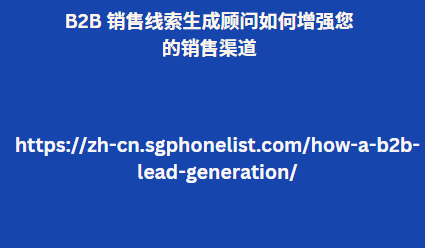 B2B 销售线索生成顾问如何增强您的销售渠道