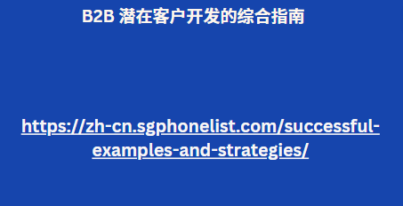 B2B 潜在客户开发的综合指南